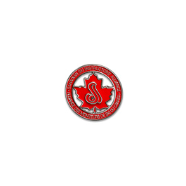 CSIA Level 3 Certification Pin