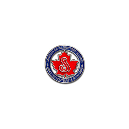 Level 4 Certification Pin