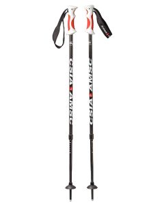 CSIA - Technical Ski Poles